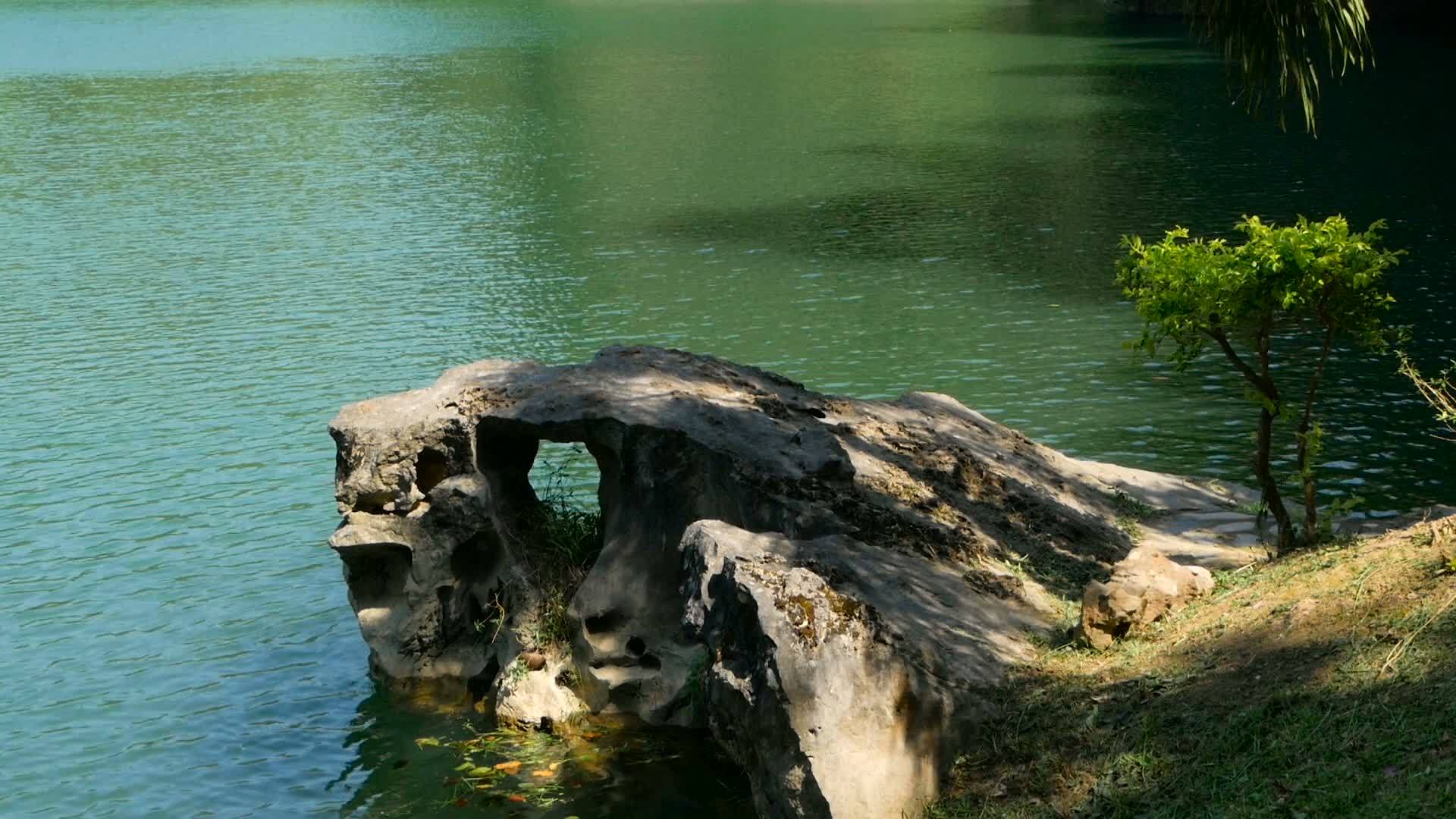 在宁静的丛林湖中近距离拍摄的岩石视频的预览图