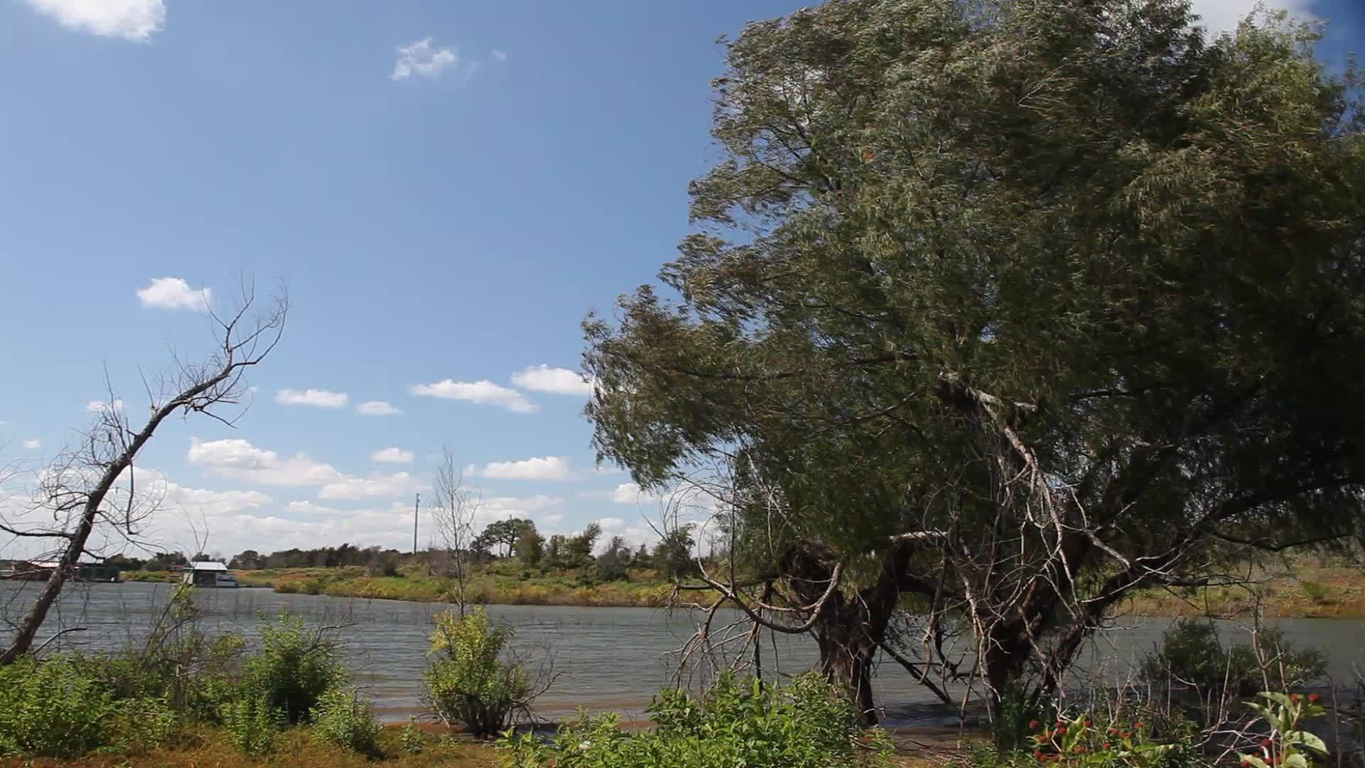 湖葡萄园的自然景观视频的预览图
