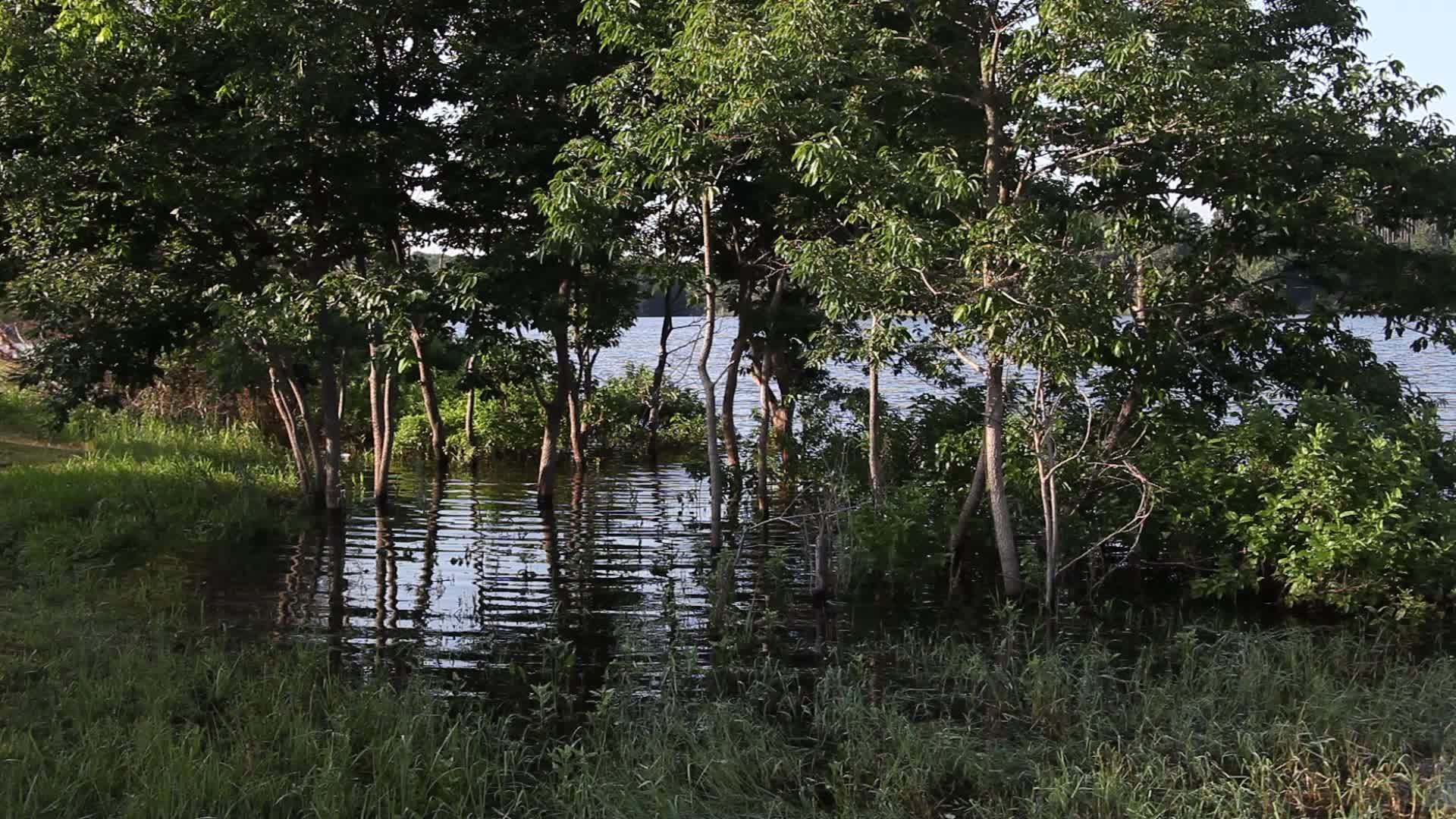 洪水湖视频的预览图