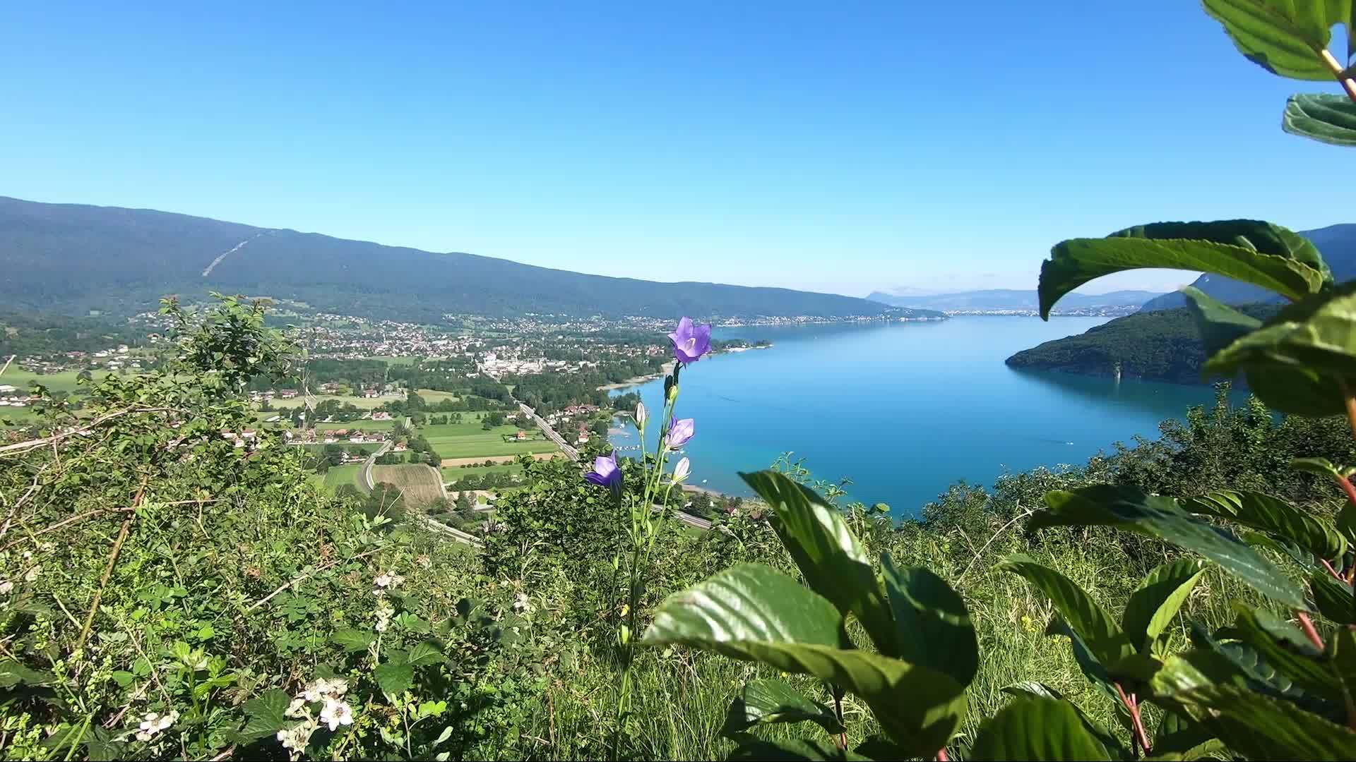 Frenchalps湖的倾角视频的预览图