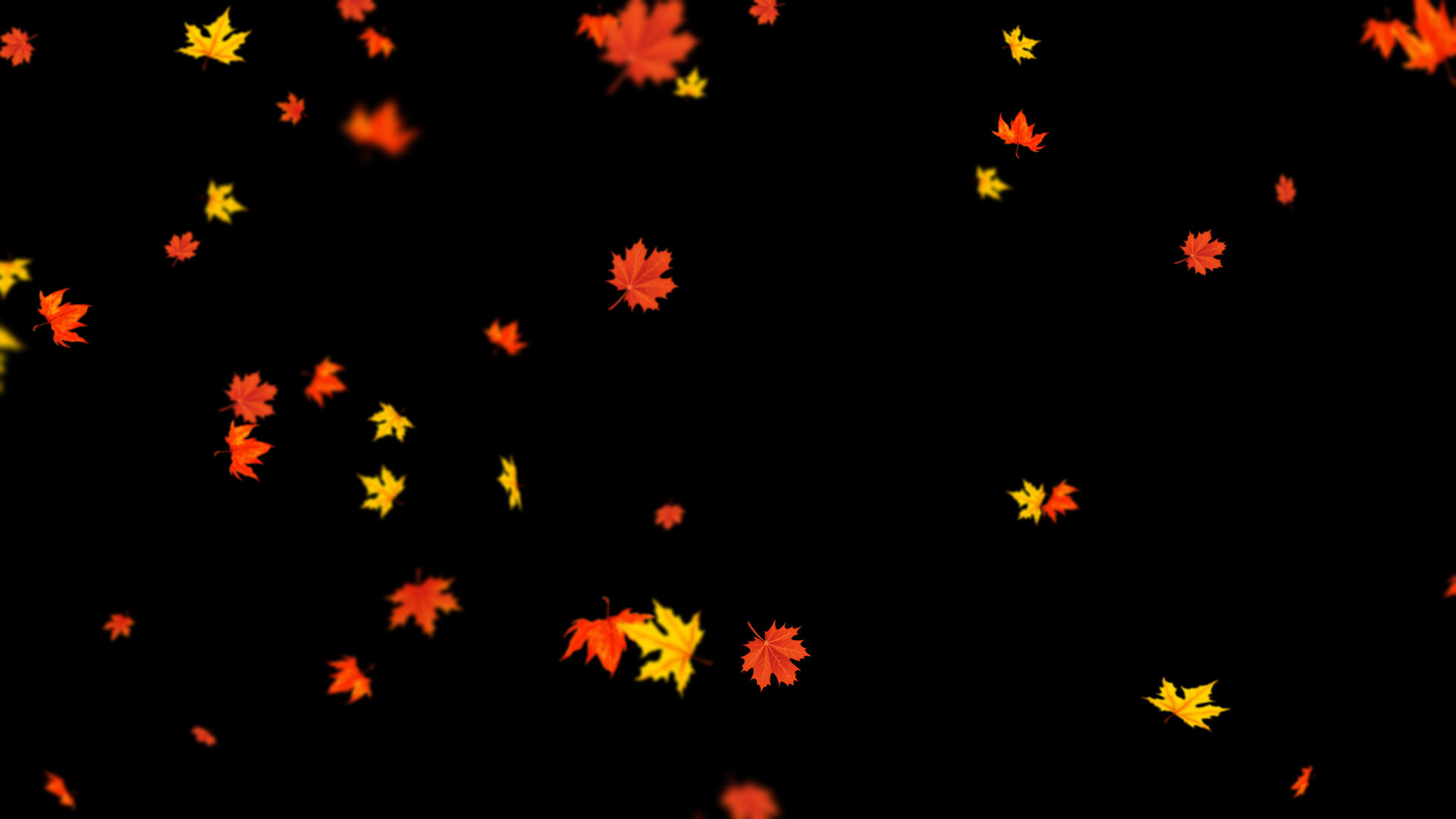 4K枫叶飘落元素视频的预览图