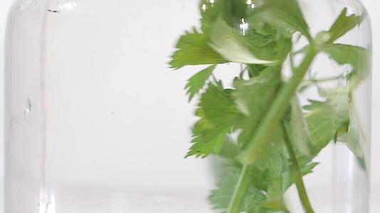 超慢动作新鲜有机芹菜枝叶在水玻璃中旋转素食者视频的预览图