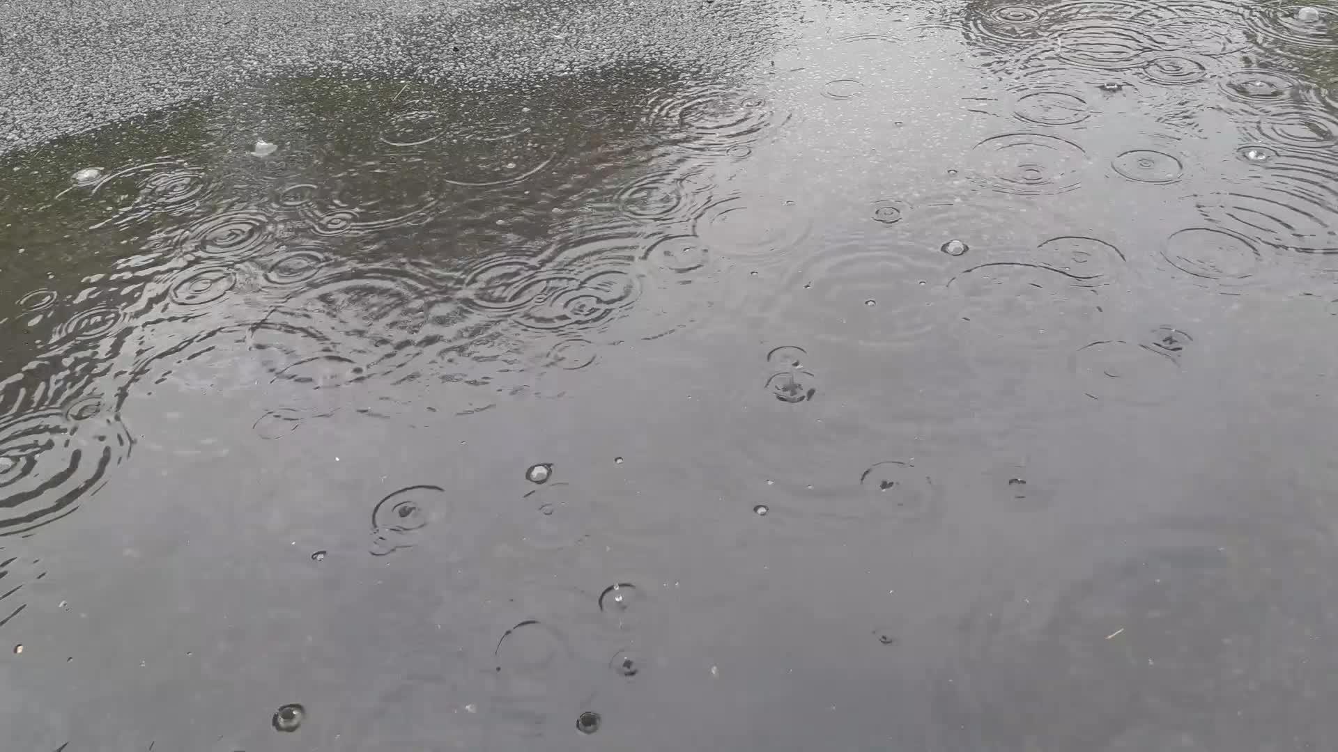 春雨落下 水滴落在水坑里视频的预览图