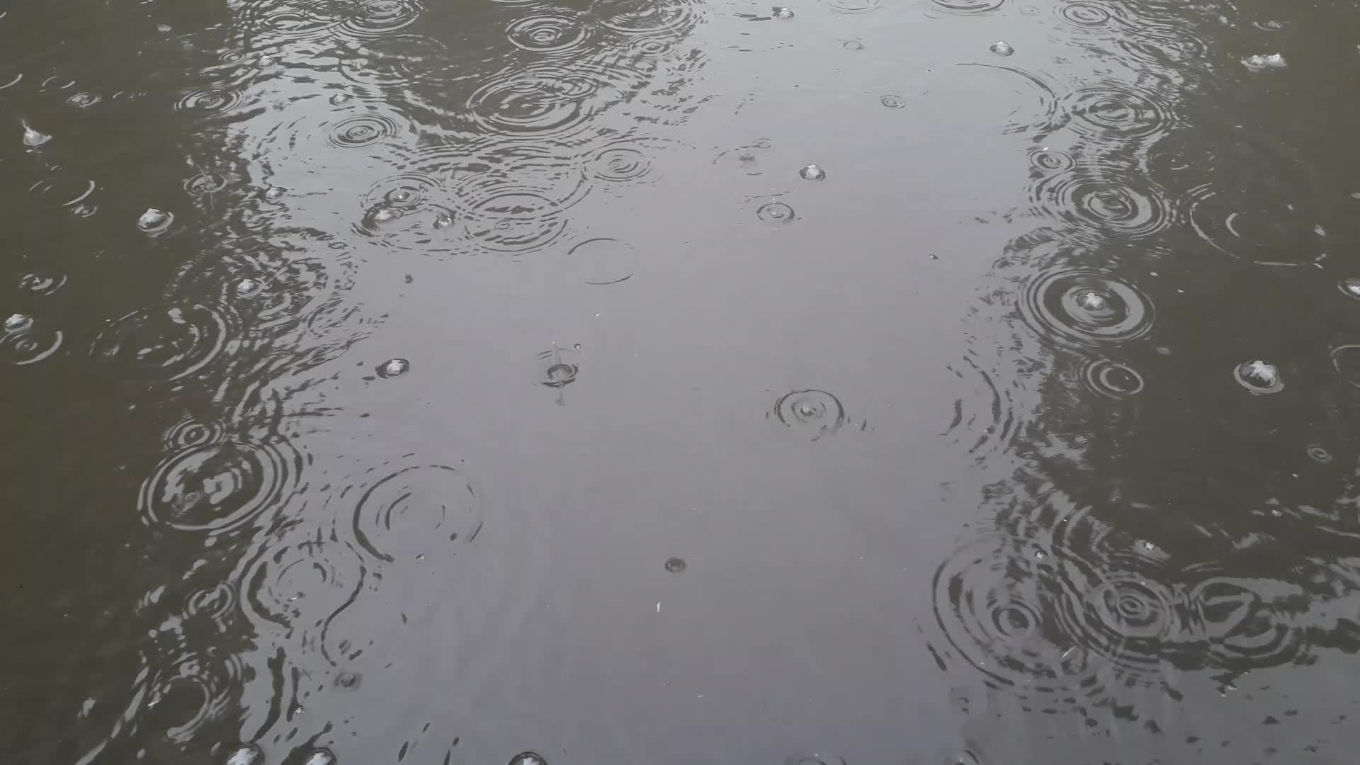 春雨落下 水滴落在水坑里视频的预览图