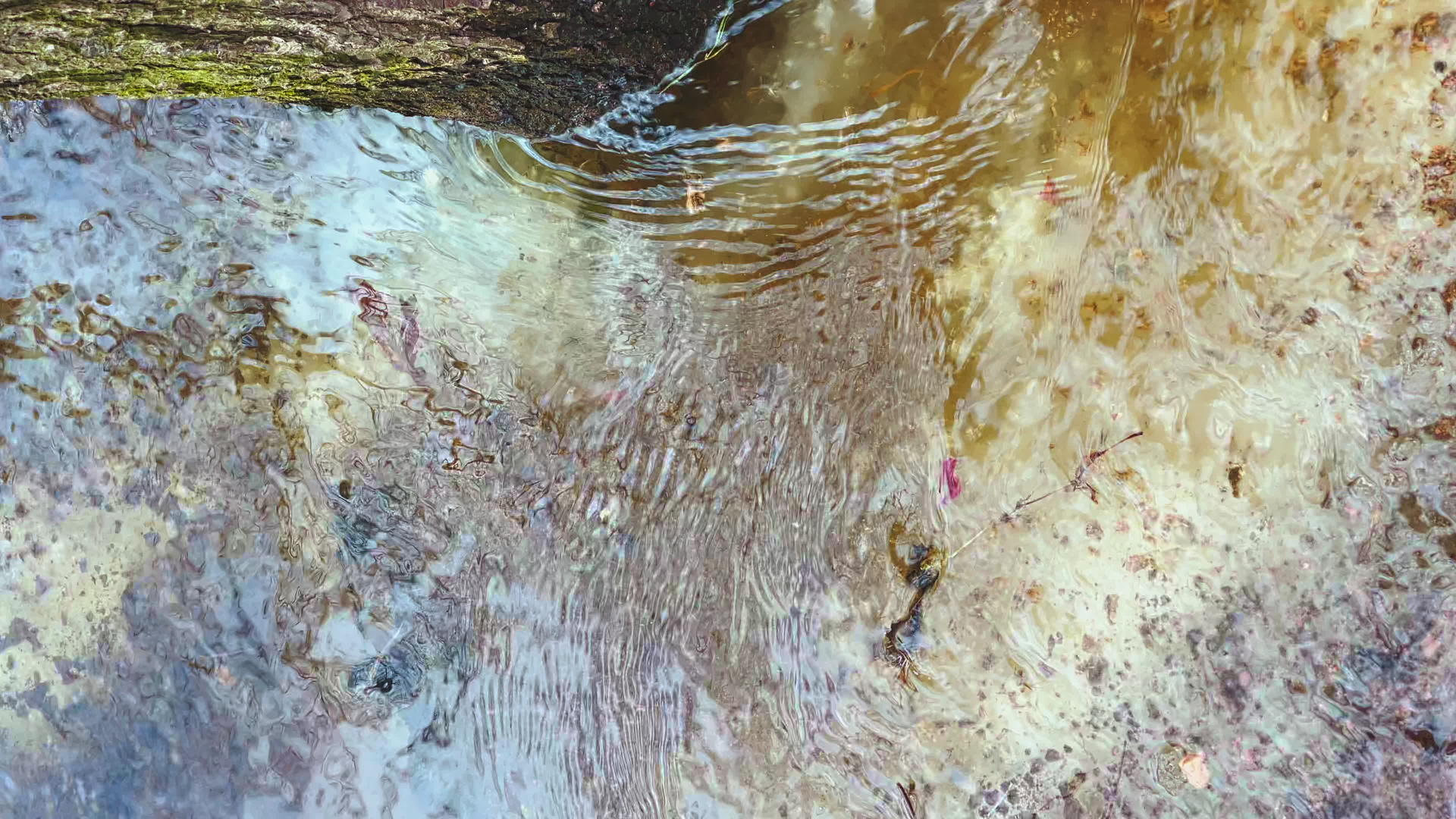 解冻的雪绕着树干流动春天的第一天小溪流过公园里的冰土视频的预览图