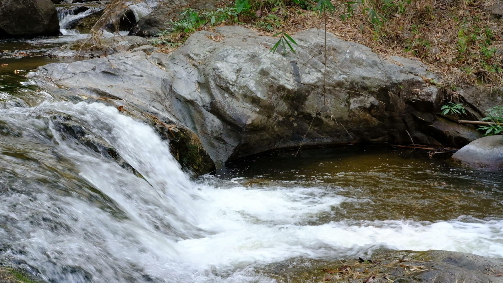 夏季森林中流淌的溪流和瀑布视频的预览图