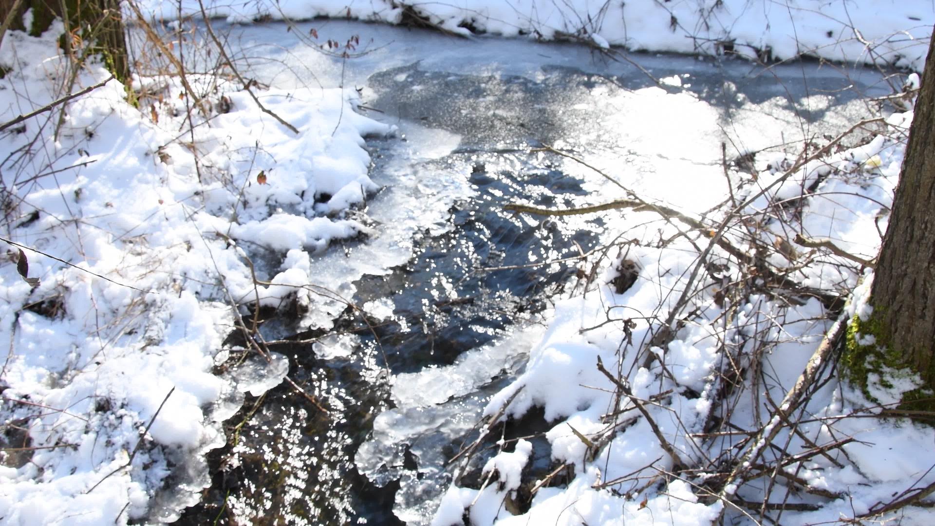 德州冬季小溪视频的预览图