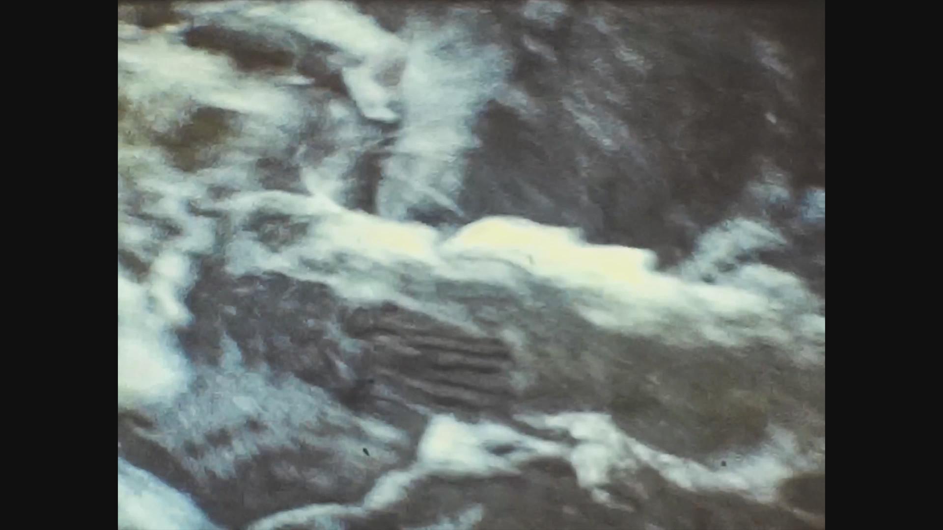 三鲑鱼河3号统一1965年视频的预览图