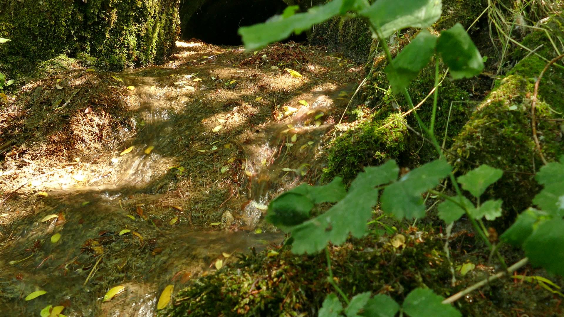德国森林里的一条小溪沿着山丘流下视频的预览图