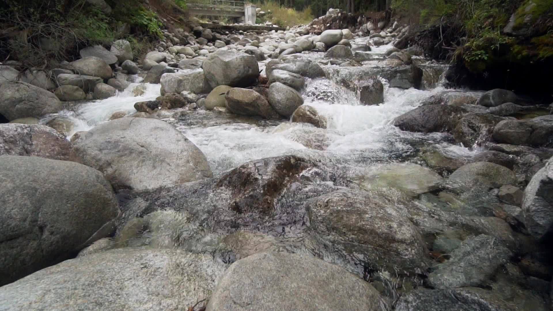 秋天的森林沿着山脉和河流缓慢移动的大型弯曲的石头和岩石视频的预览图