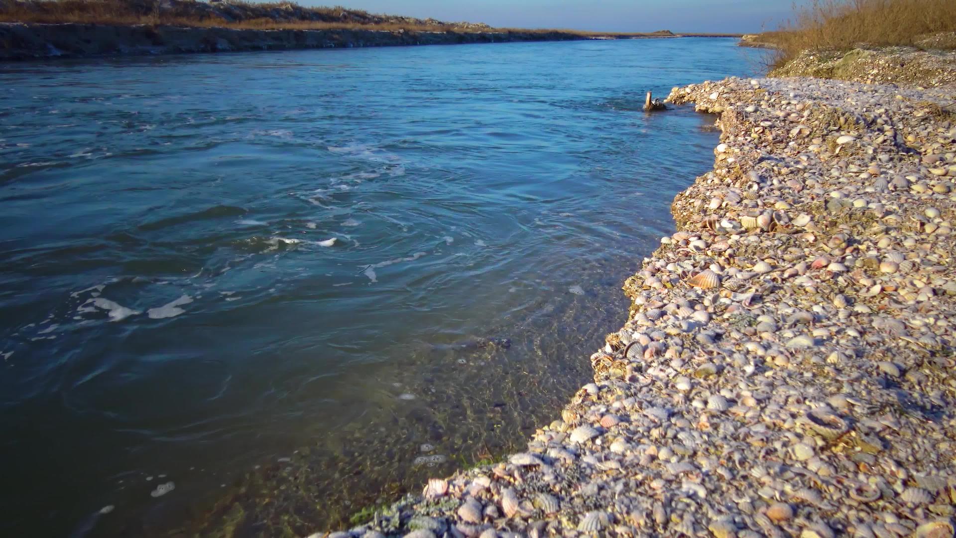 水冲洗海岸快速流动海边有贝壳视频的预览图