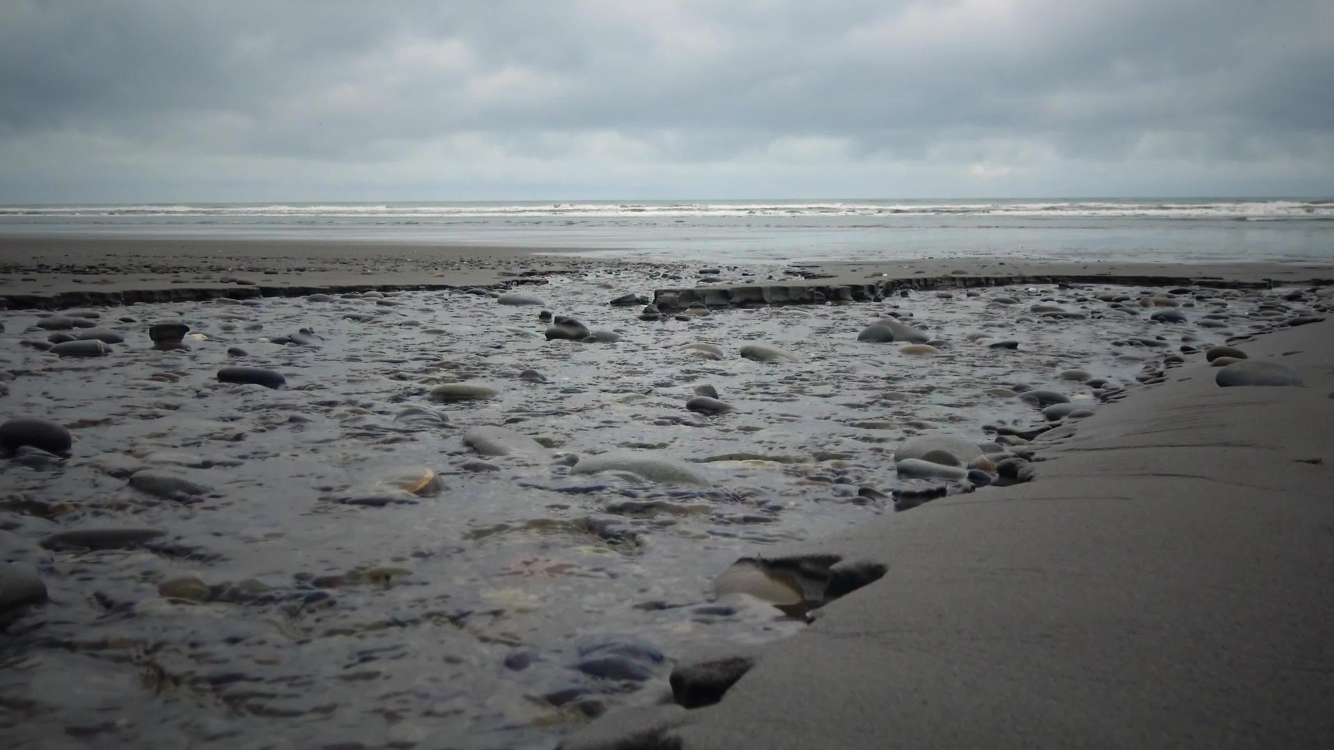 沿着海滩奥林匹亚国家公园快速流淌的太平洋海岸小河视频的预览图