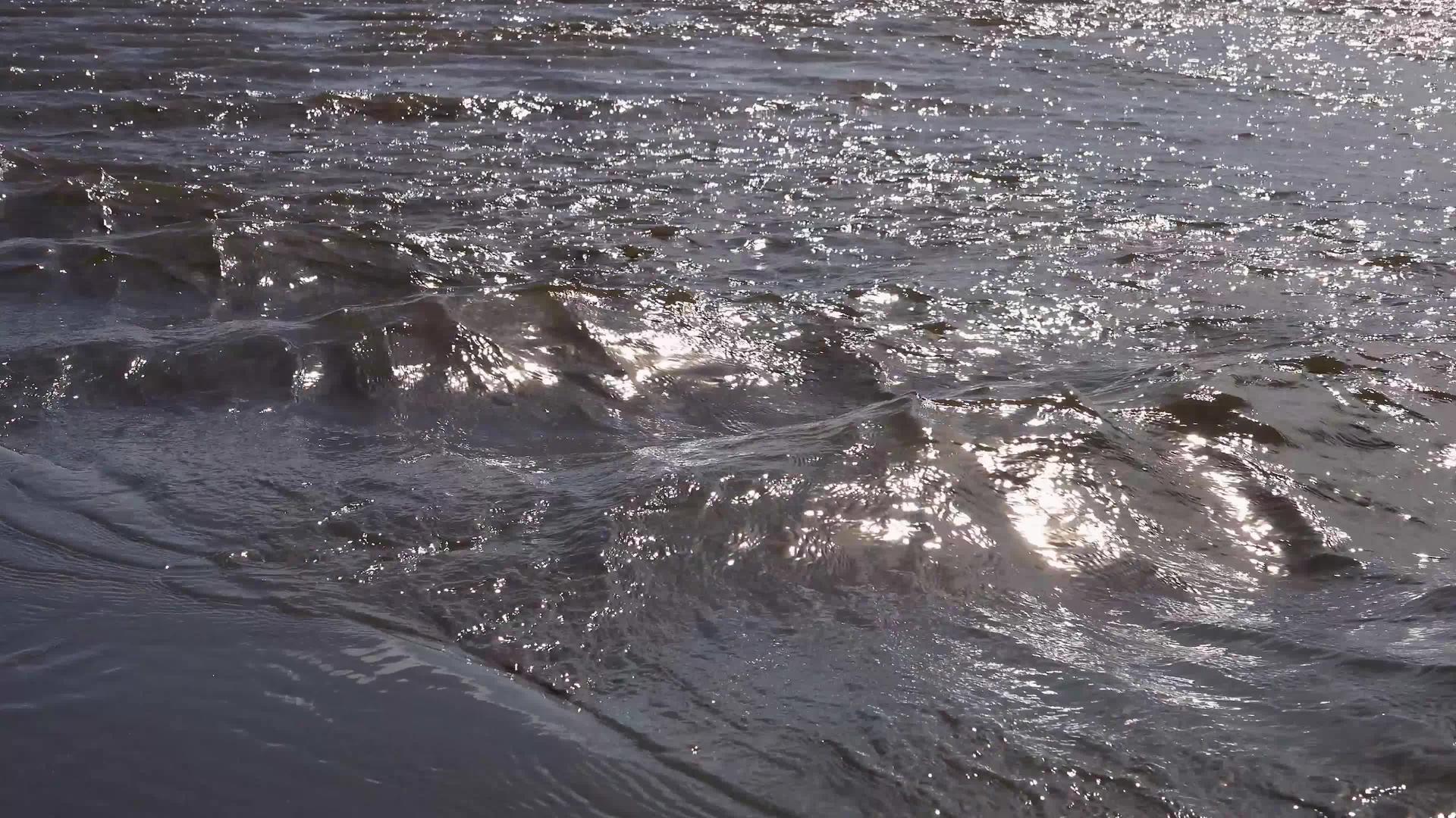 沿着海滩奥林匹亚国家公园快速流淌的太平洋海岸小河视频的预览图