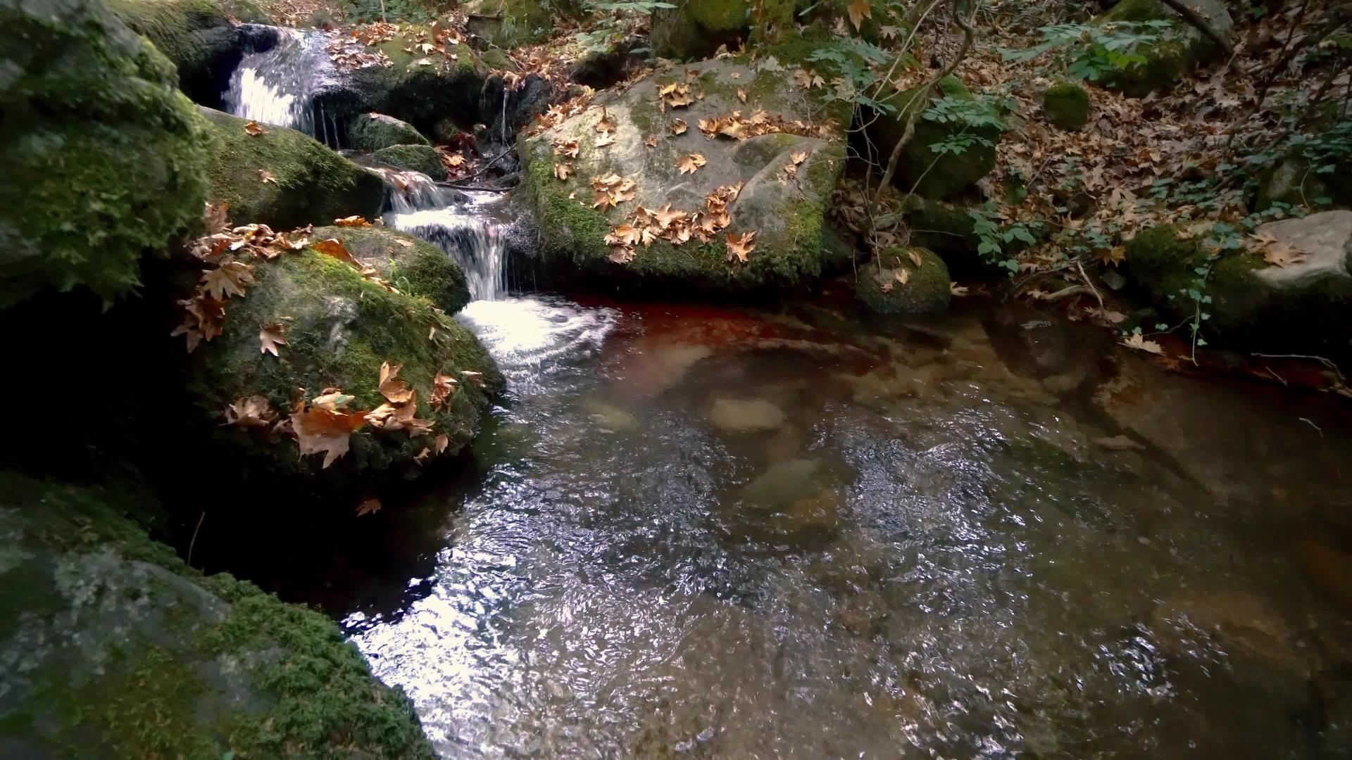 岩间山溪流视频的预览图