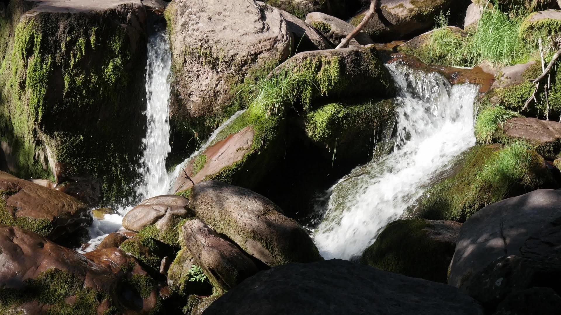山中的小瀑布视频的预览图