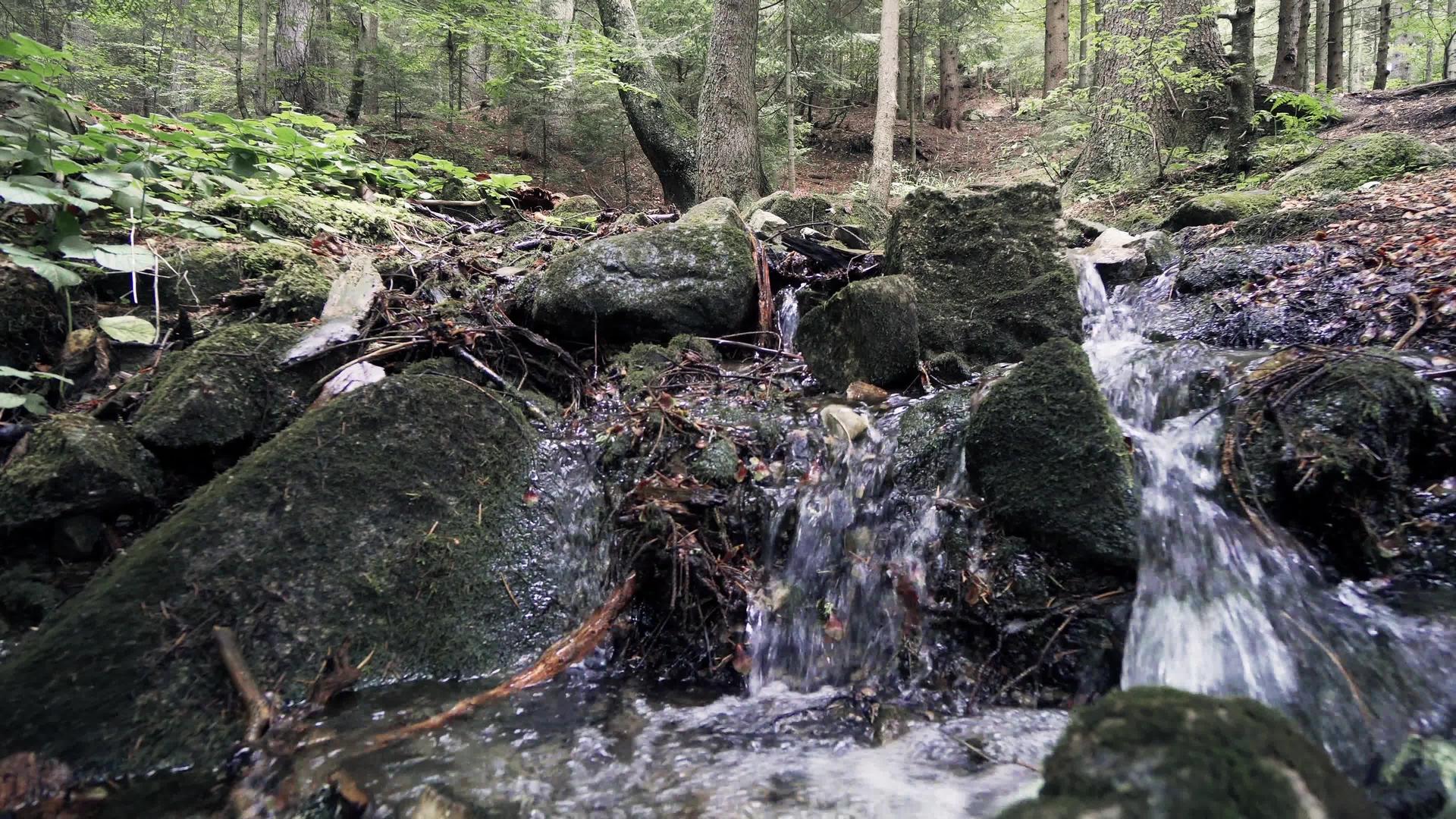秋天森林河流和岩石电影自然拍摄视频的预览图
