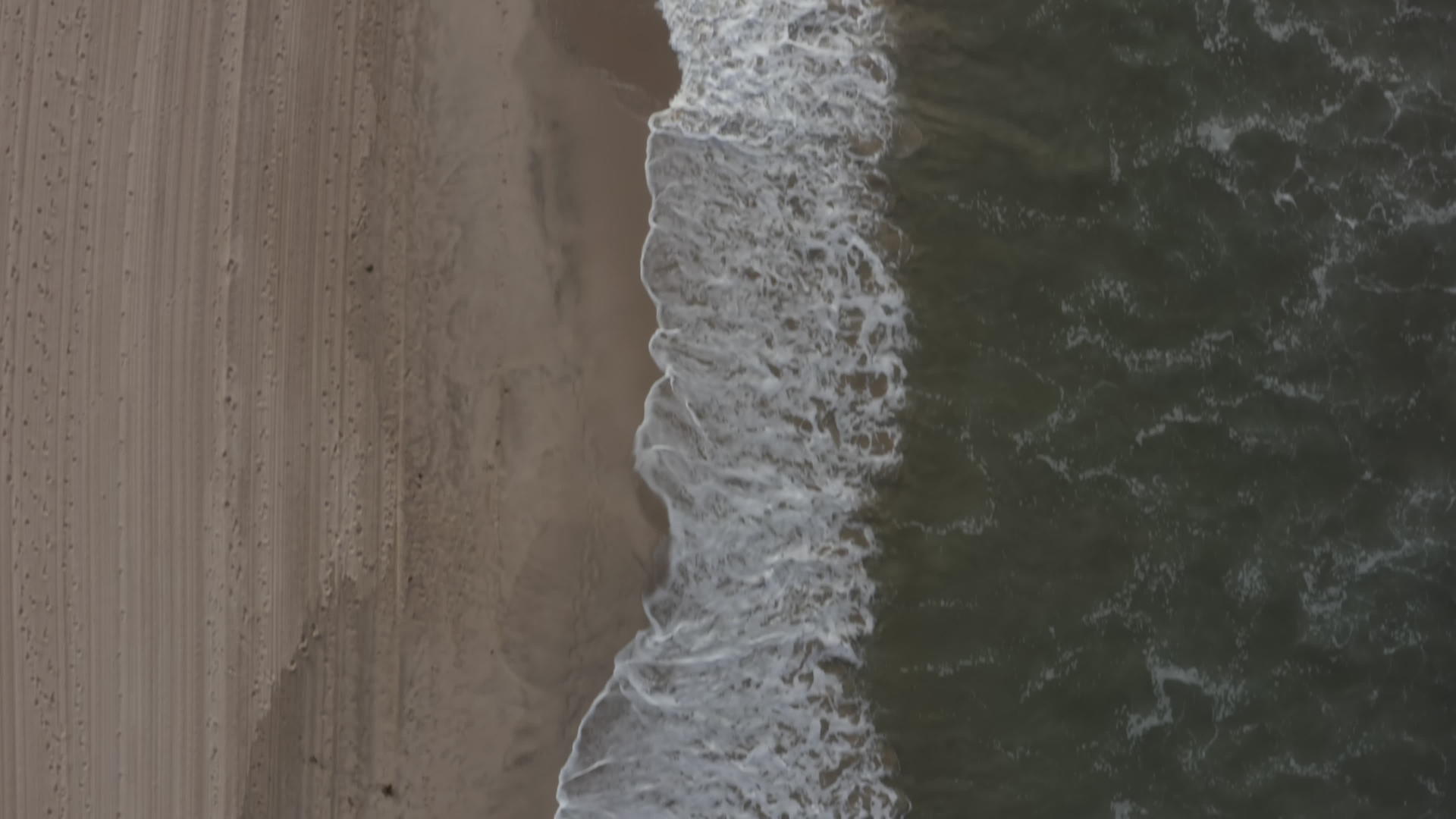 威尼斯海滩的水洛斯天使hd视频的预览图