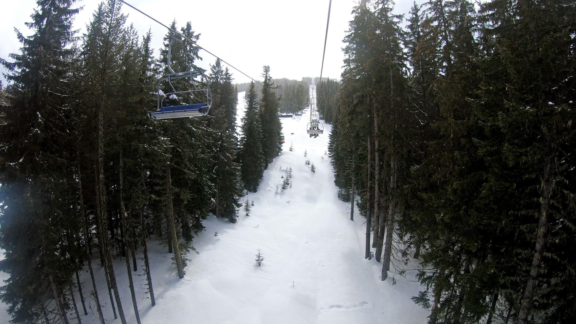 日出时叉车和滑雪板通过松林区运送到滑雪山坡度假胜地视频的预览图