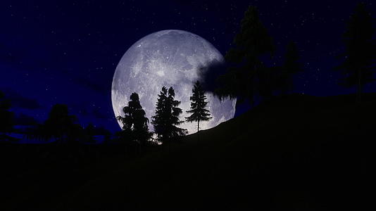 人类在森林里奔向满月和星空4公里视频的预览图