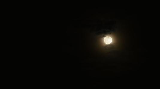 晚上满月实时有神秘的仙境视频的预览图