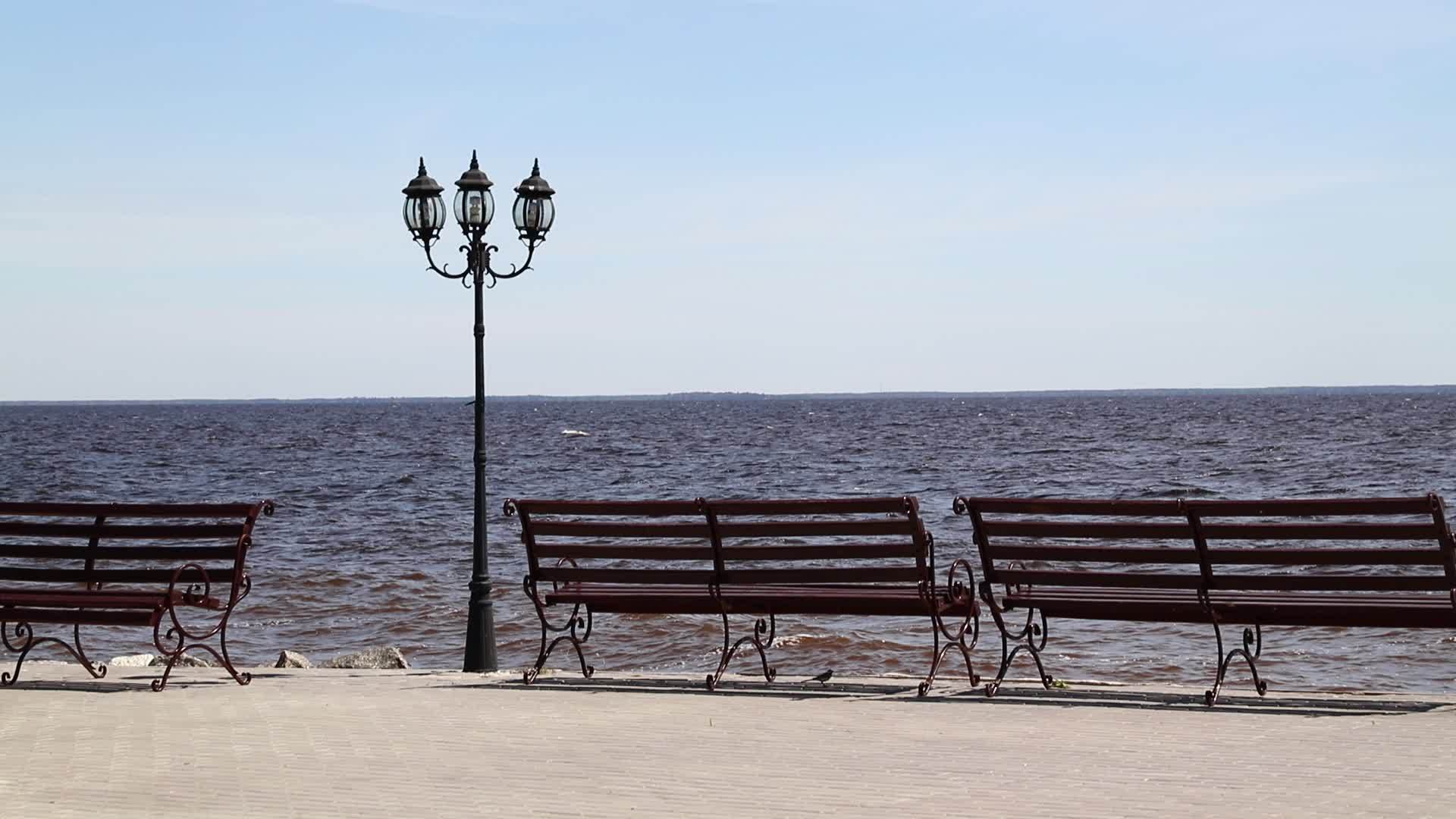 海滨河区有长椅和街道灯台视频的预览图