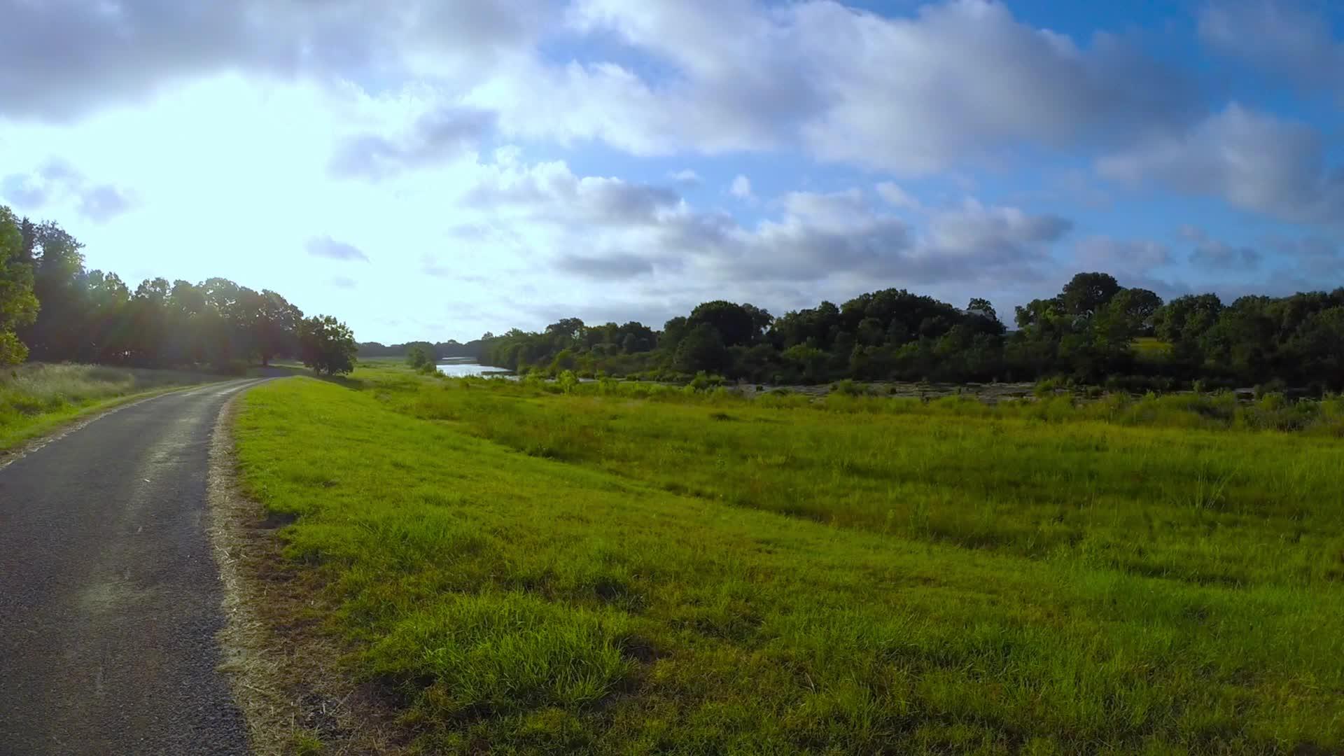 阳光照耀着美丽的牧草视频的预览图