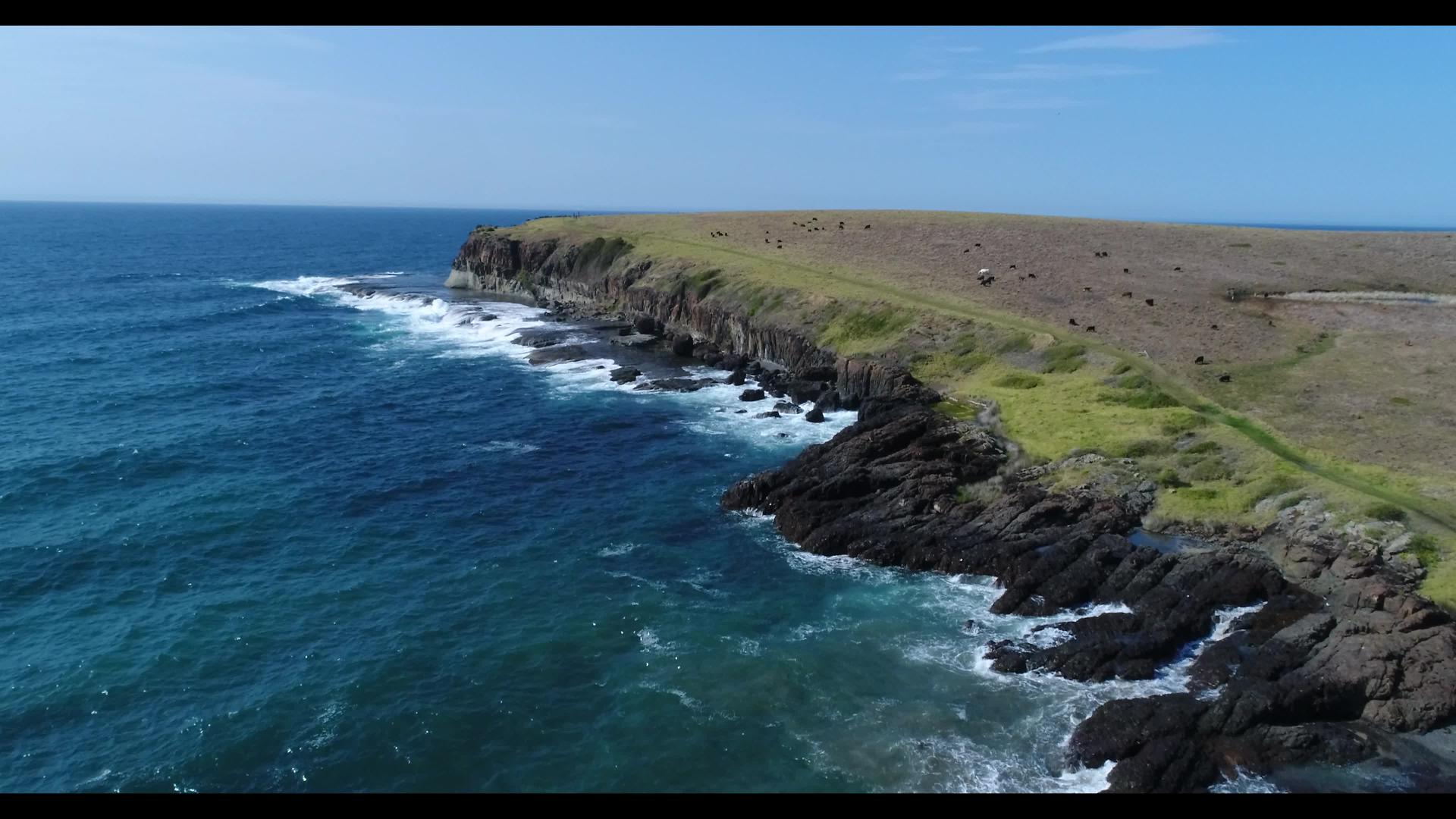 在澳洲地区Kiama海浪落在附近海岸的空中视频的预览图