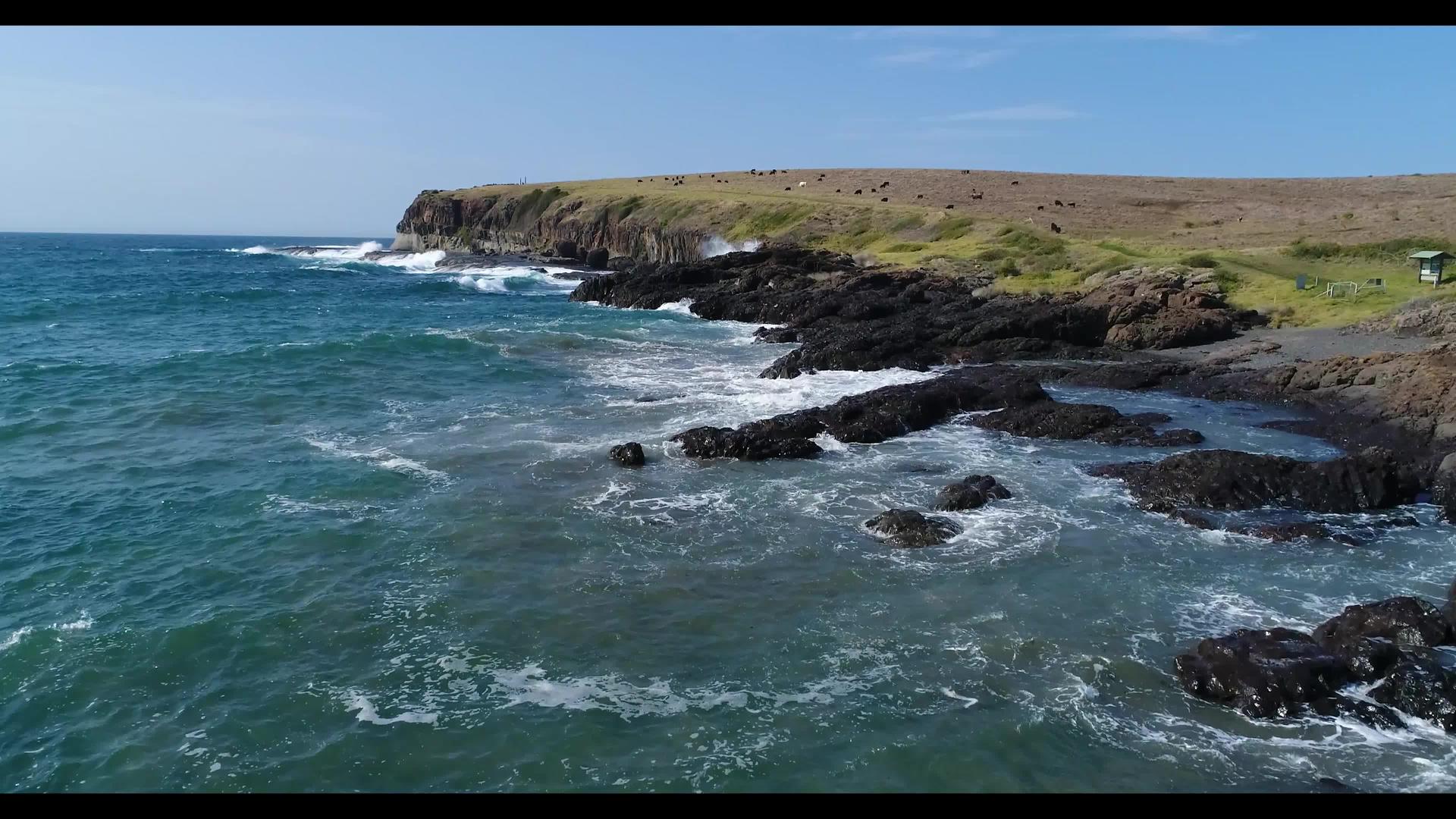 在澳洲地区Kiama海浪落在附近海岸的空中视频的预览图