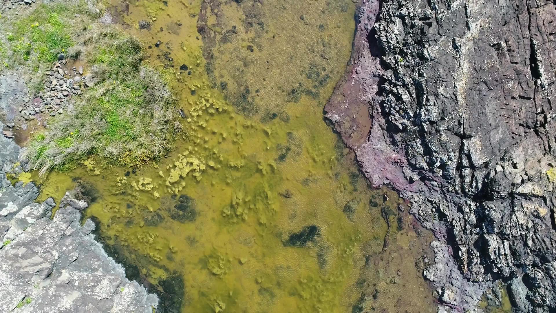 在澳洲地区Kiama附近一个海洋岩石池的空中视频视频的预览图