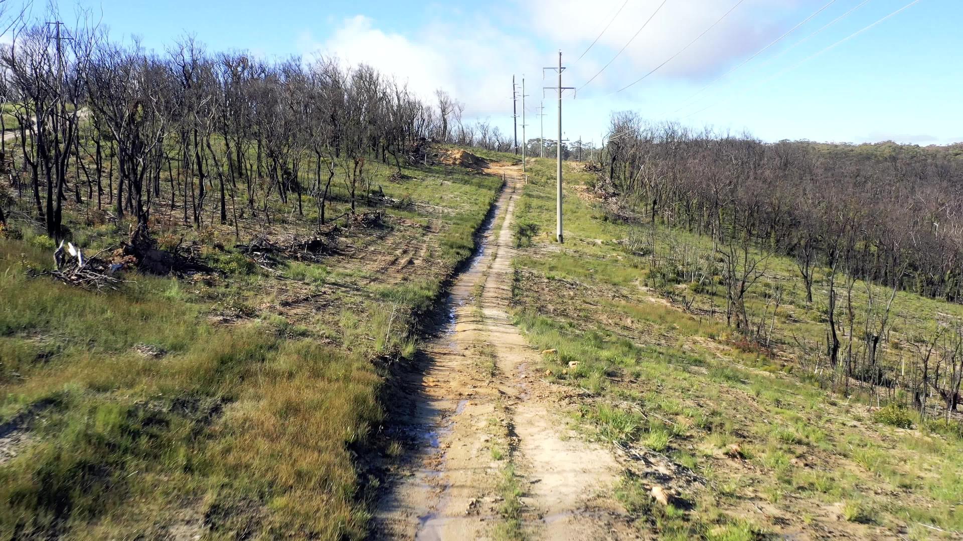 奥斯特利亚地区的泥土轨道和电话杆空中飞行视频视频的预览图