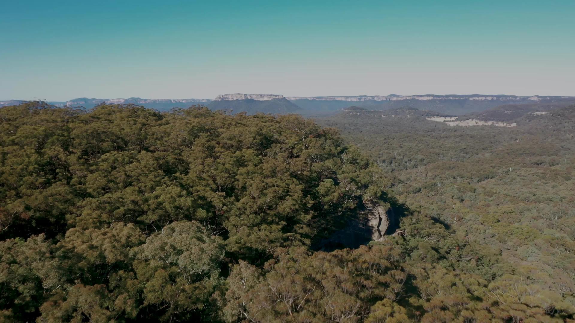 奥斯特利亚大灌林地谷的空中视频视频的预览图