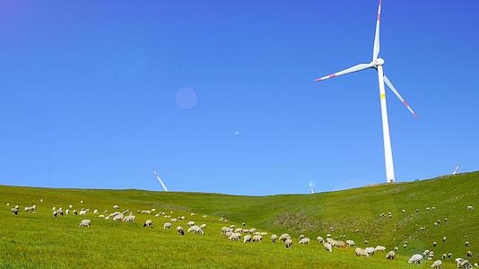 草原上的风车羊群视频的预览图