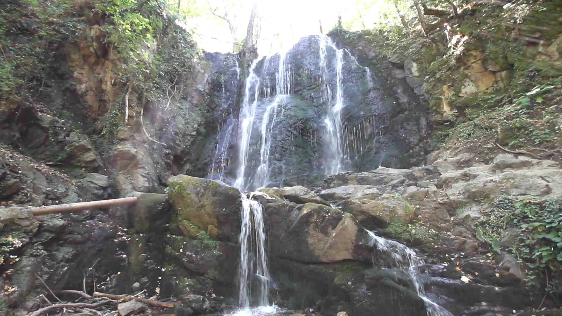 森林中的自然瀑布视频的预览图