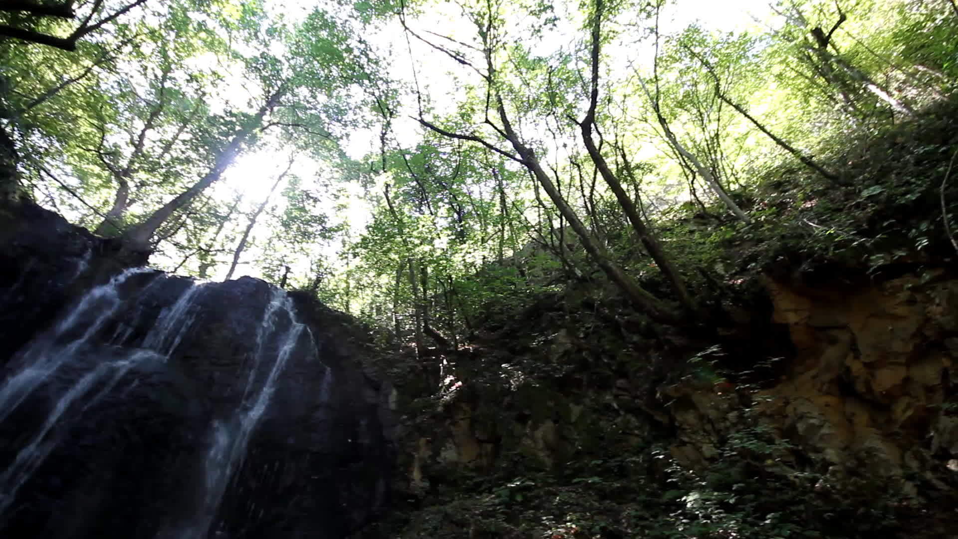 森林中的自然瀑布视频的预览图