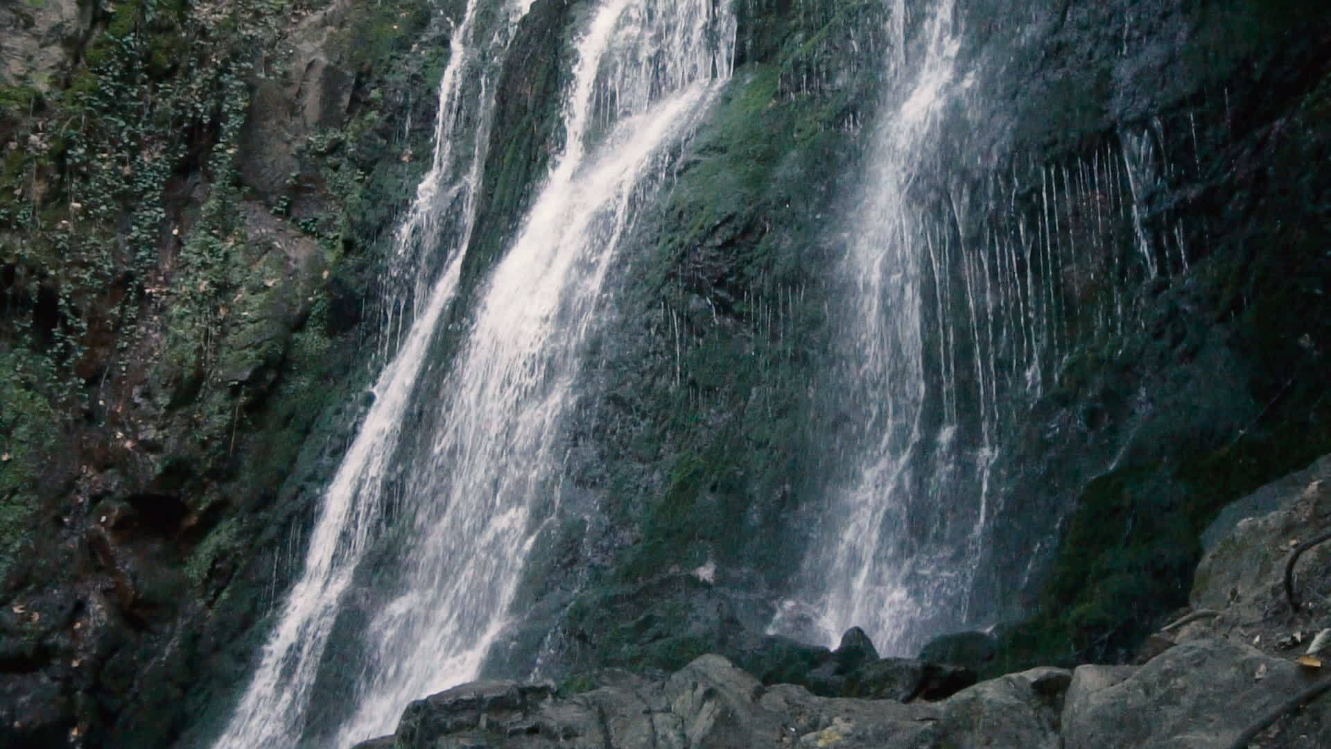 秋天大瀑布在森林里视频的预览图