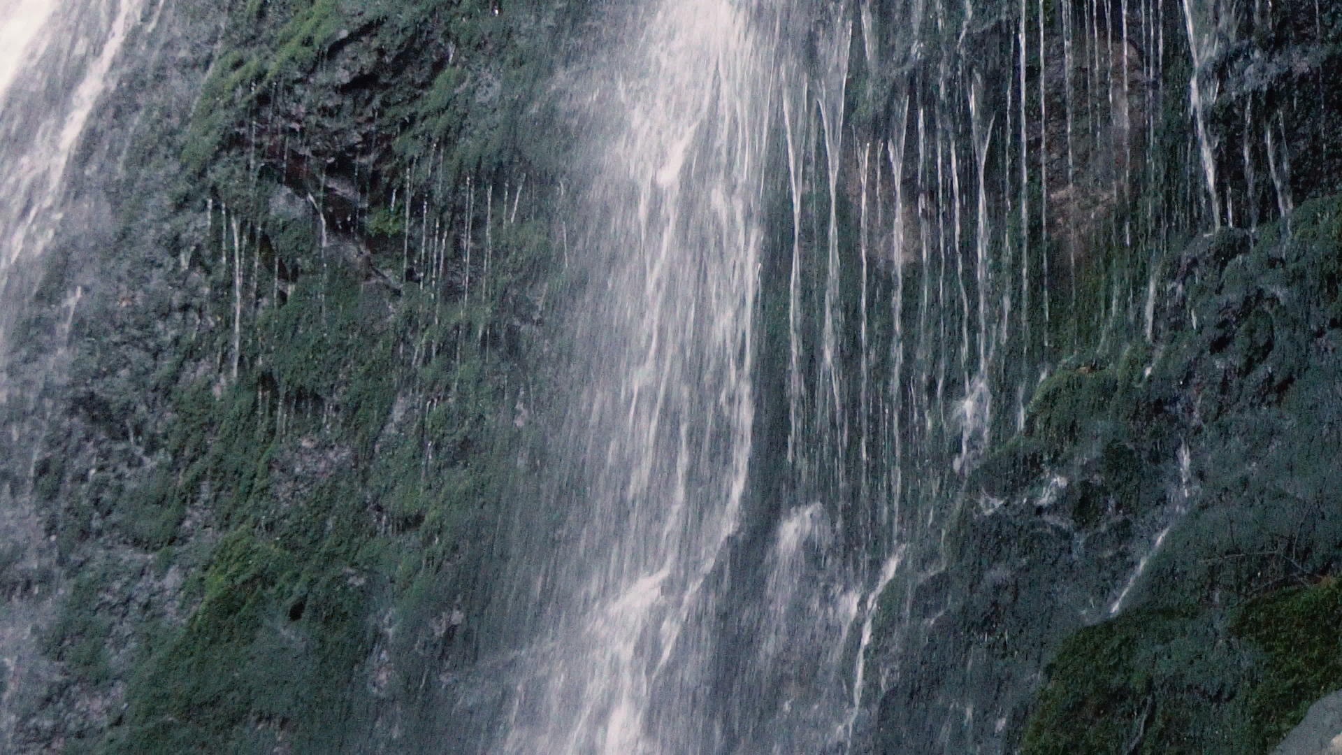 隐藏的急水瀑布森林中有清水视频的预览图