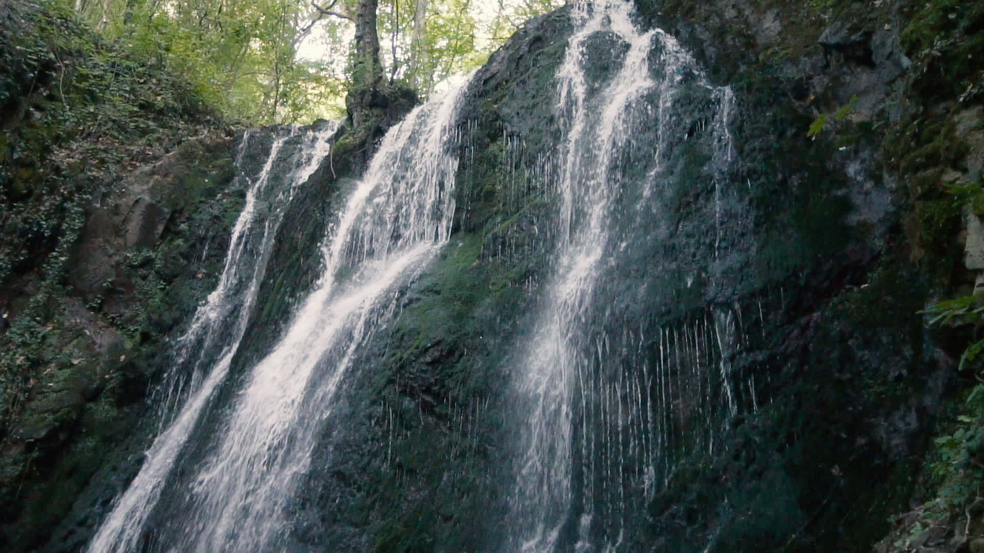 隐藏在森林深处的瀑布视频的预览图