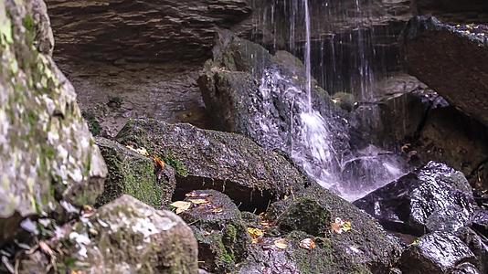 详细介绍沙瓦诺亚瀑布视频的预览图