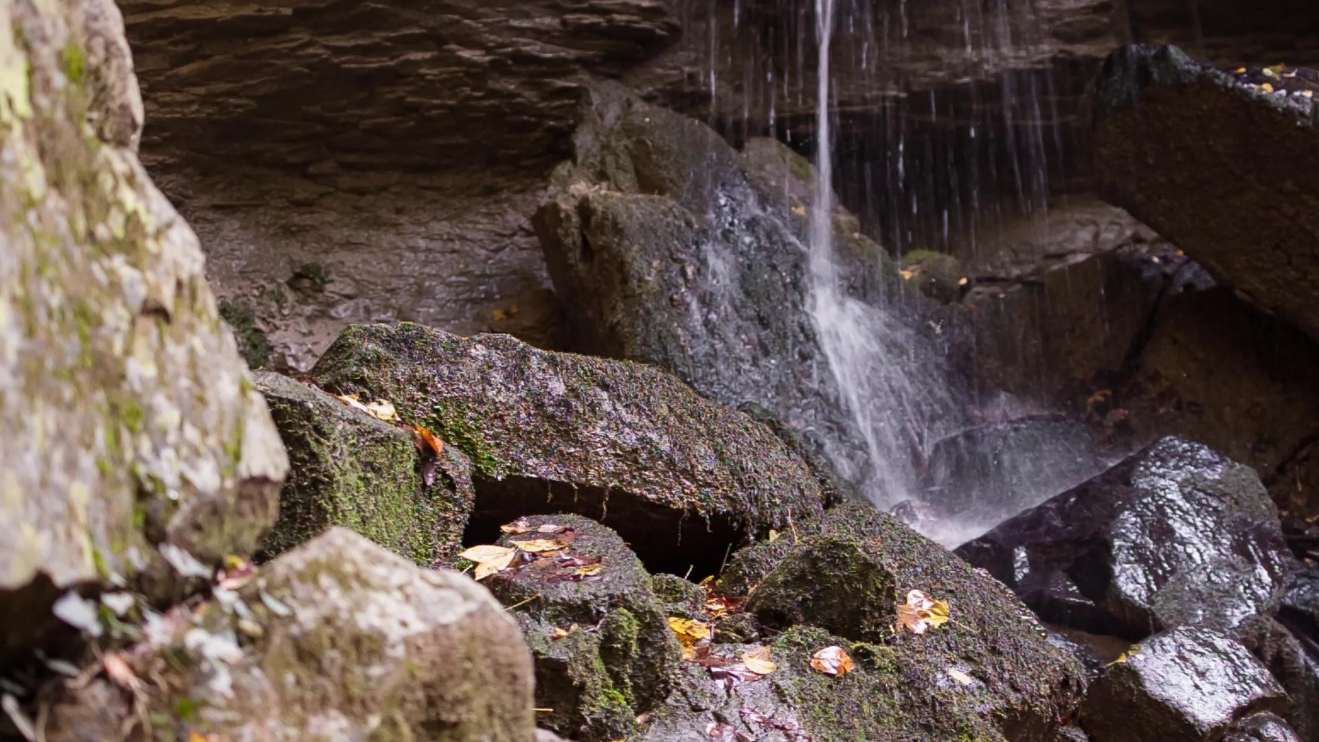 一个关于沙瓦诺亚瀑布的详细细节4视频的预览图