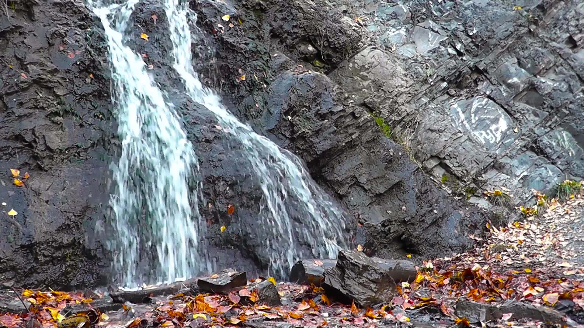 秋天森林的瀑布上有黄叶视频的预览图