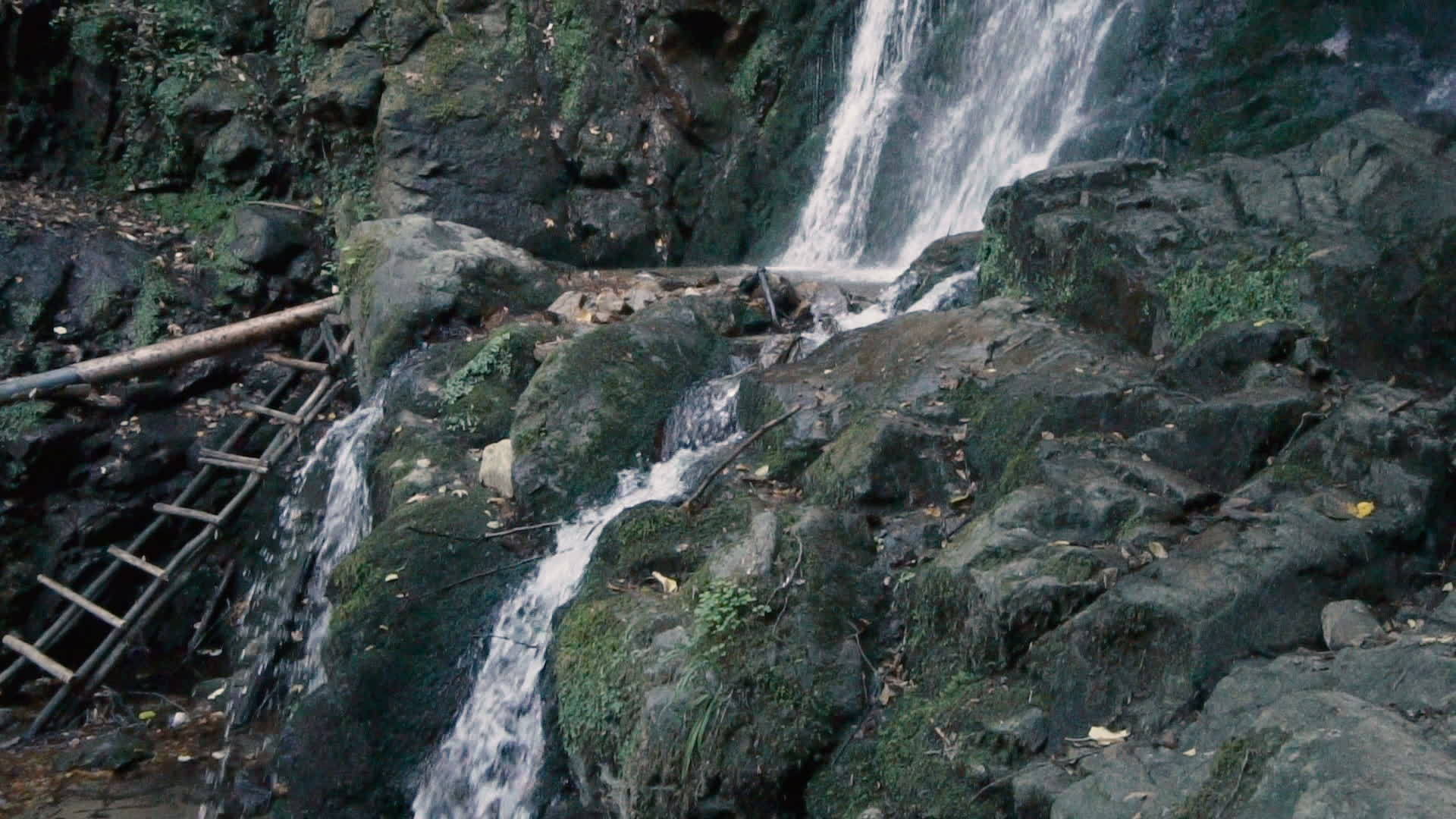 美丽的瀑布隐藏在森林中视频的预览图