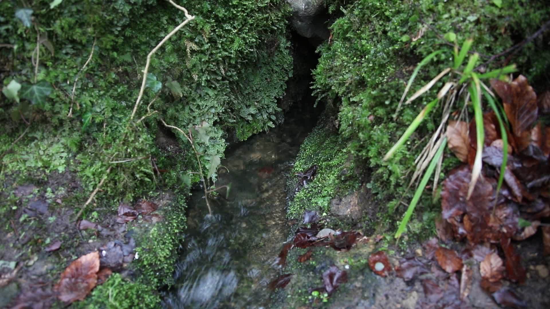 岩石之间的小溪石头上的苔藓视频的预览图