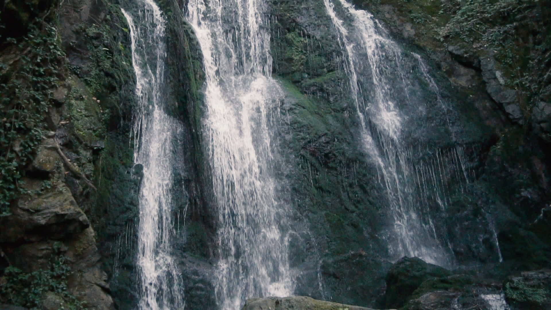 大型快速瀑布的热带森林视频的预览图