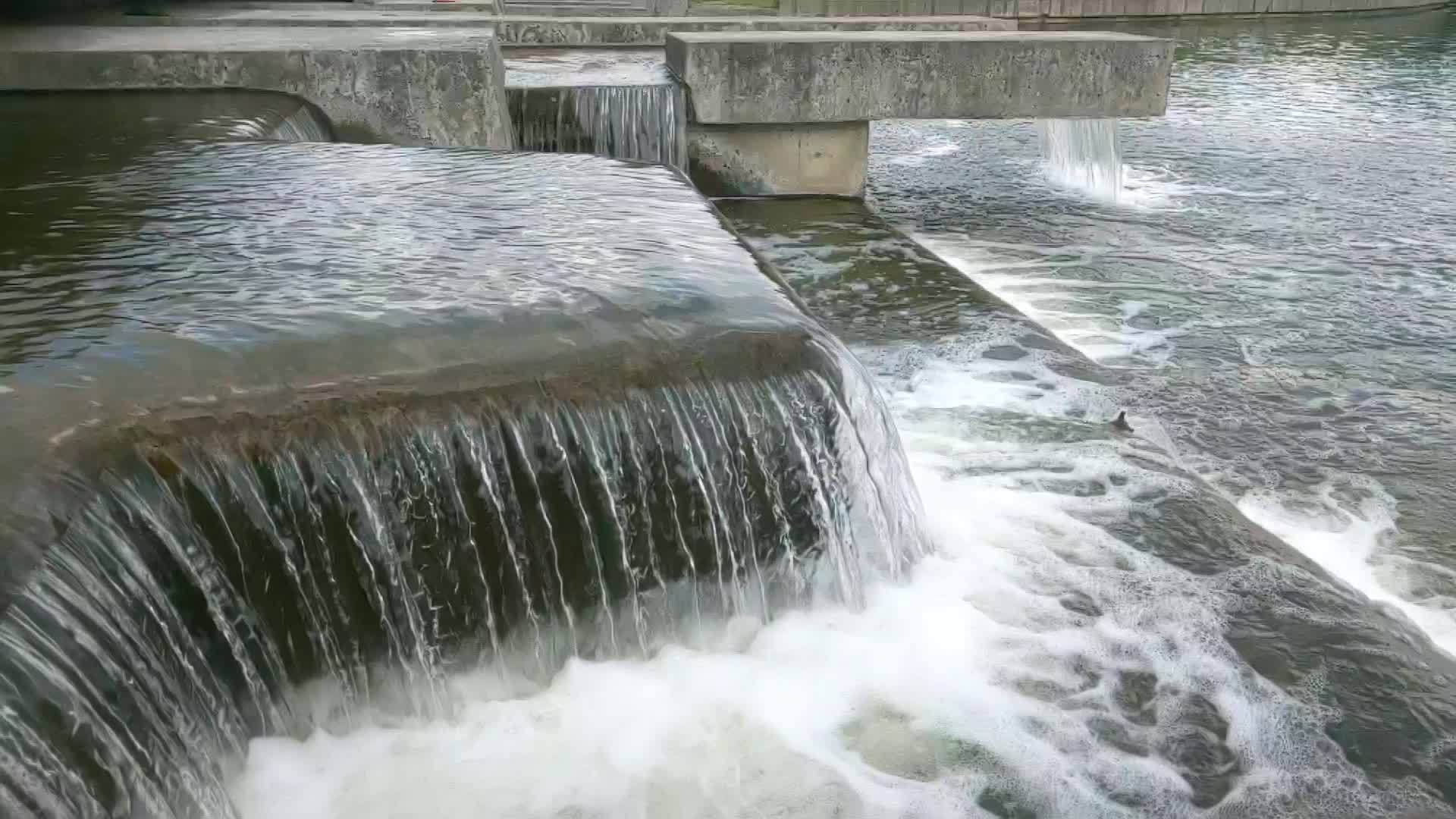 水像公园里的瀑布一样缓慢地流动视频的预览图