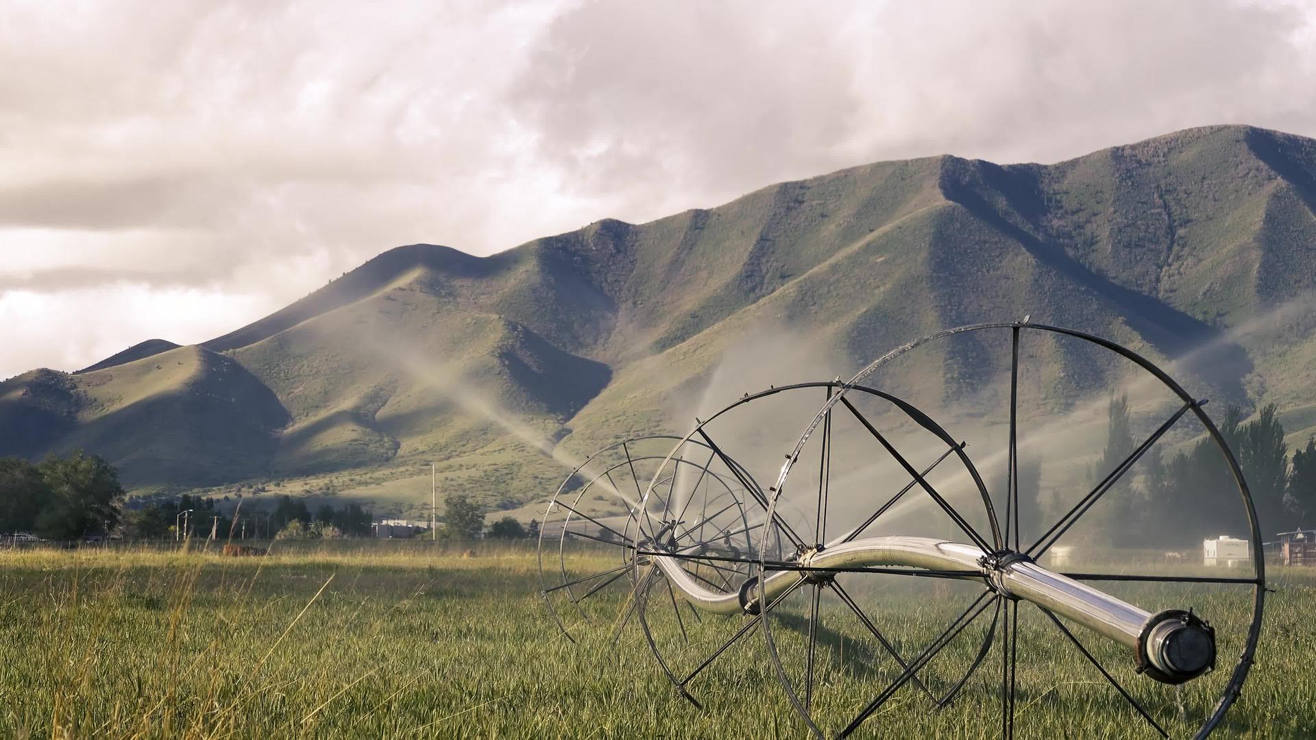 犹他州的牧场用水灌溉土地视频的预览图