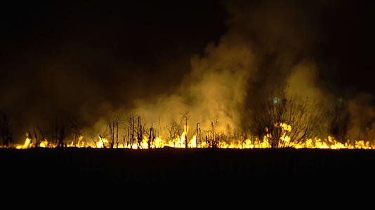 一群烟雾在夜间燃烧在夜间燃烧的农场升入空气视频的预览图