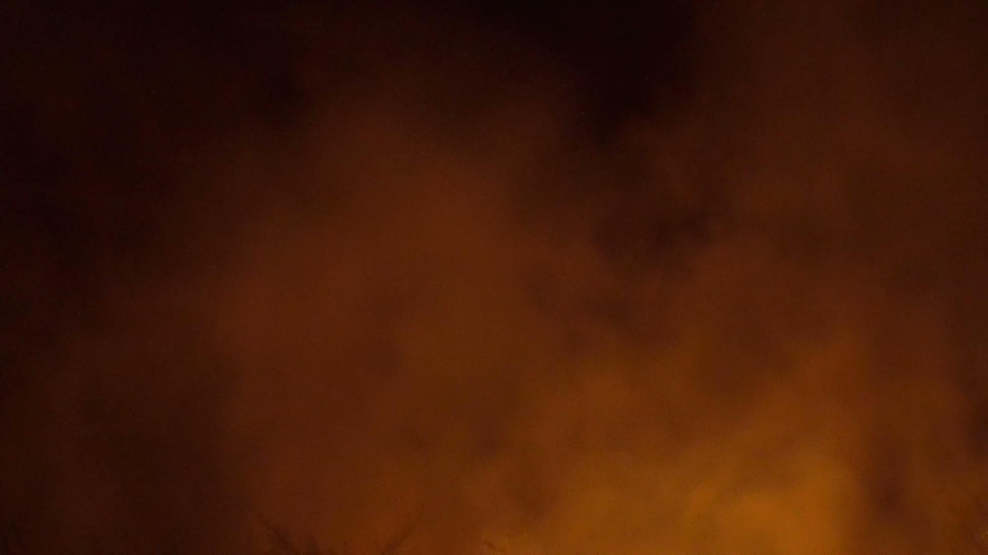 林火和森林火灾在朱恩旱季烧毁了几公顷松树视频的预览图