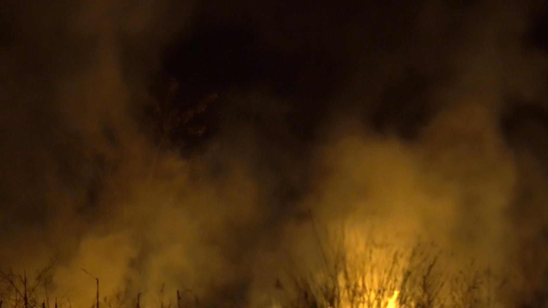 在烟雾中燃烧松林和夜间火焰视频的预览图