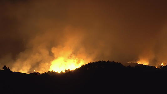 夜间燃烧树木的火视频的预览图