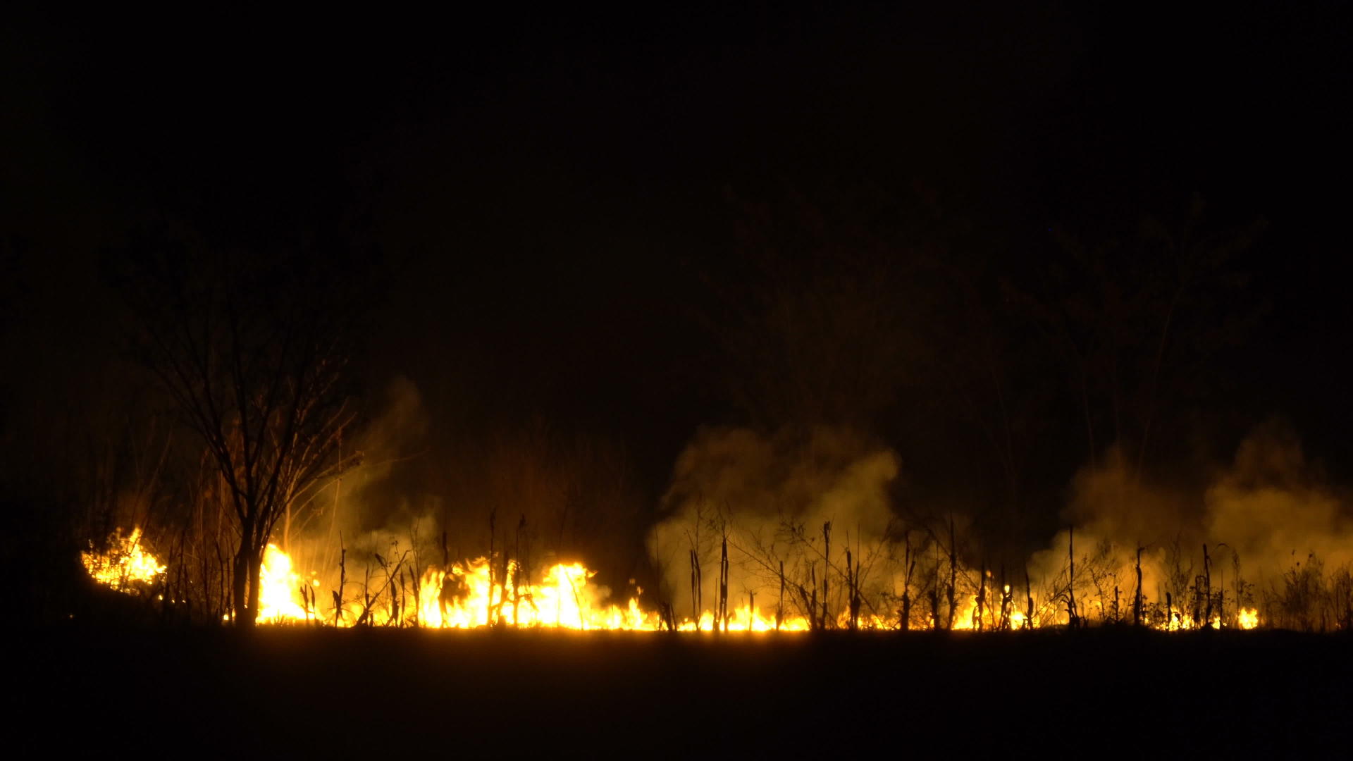 夜间火焰和大烟雾在亚西亚砍伐森林的雨林中视频的预览图